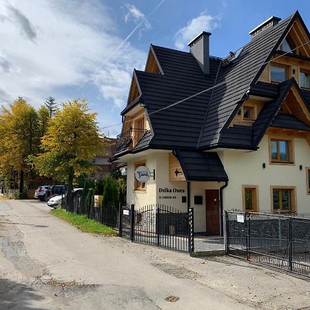 Dzika Owca Apartment Zakopane Luaran gambar