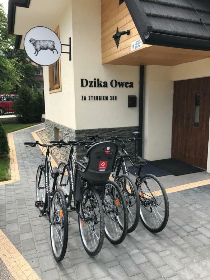 Dzika Owca Apartment Zakopane Luaran gambar